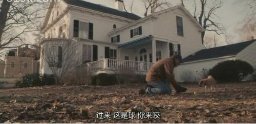 A Dog's Tale,PTH A Dog's Tale,PTH