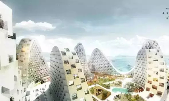 Istanbul Olive Cape Town Aceituna Ciudad del Cabo de Estambul